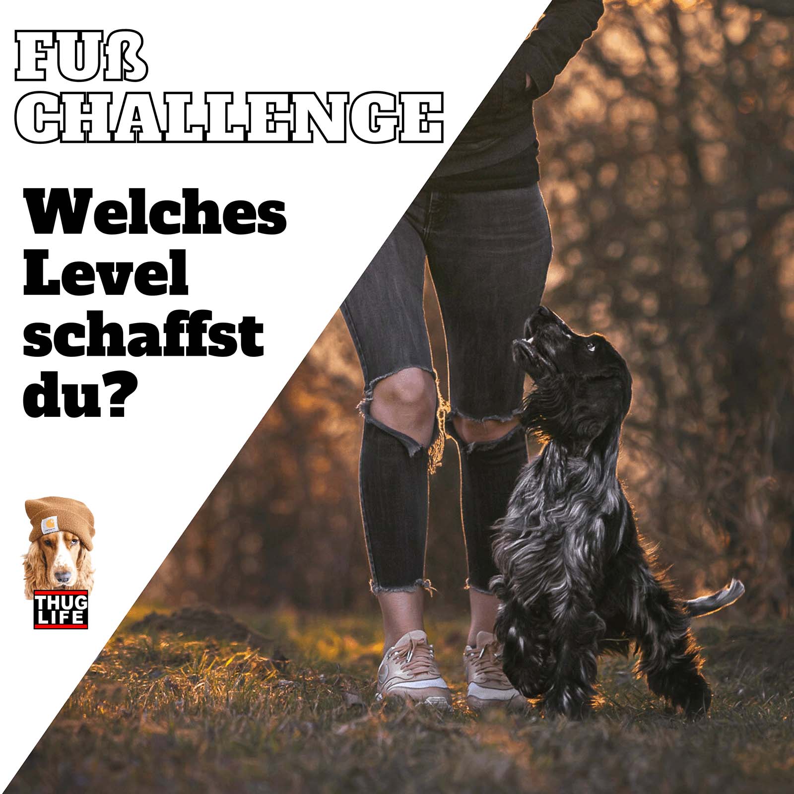 Vroni's Hundeschule: Die Fuss-Challenge